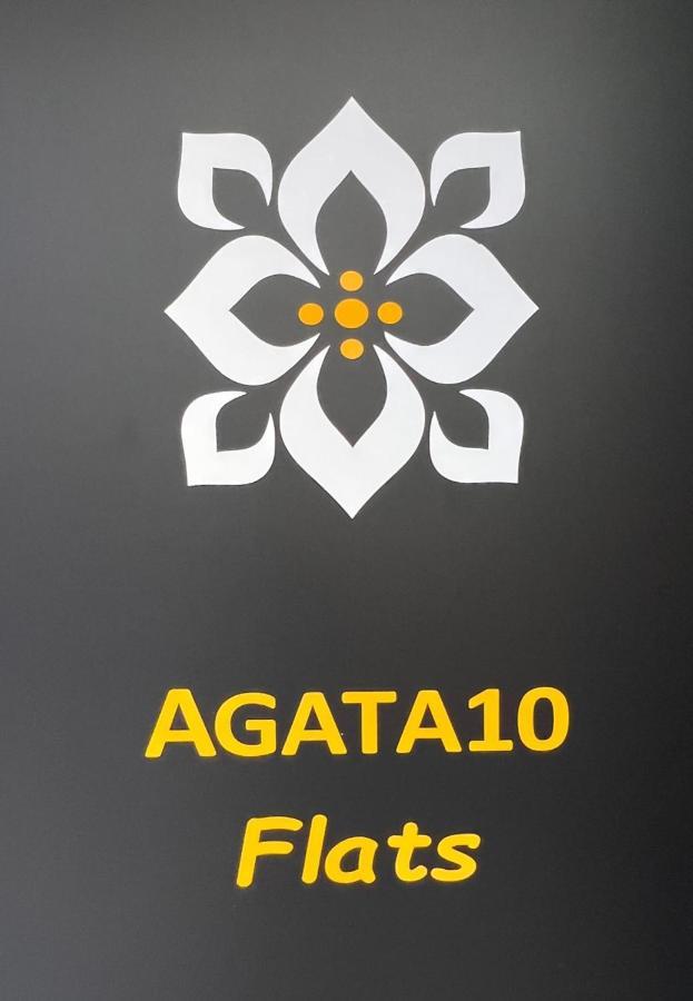 アリカンテAgata 10-3Eアパートメント エクステリア 写真